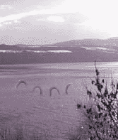 nessie