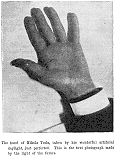 The hand of Nikola Tesla, taken by his wonderful artificial daylight, just perfected. This is the first photograph made by the light of the future